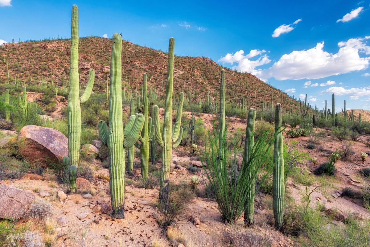 outdoor recreation in phoenix